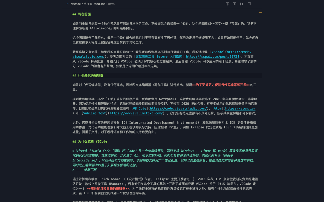 Vs Code 代码编辑器入门指南下篇 场景化应用介绍 思考问题的熊